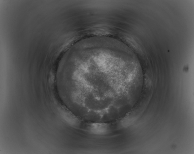 X0000092090371200710101106