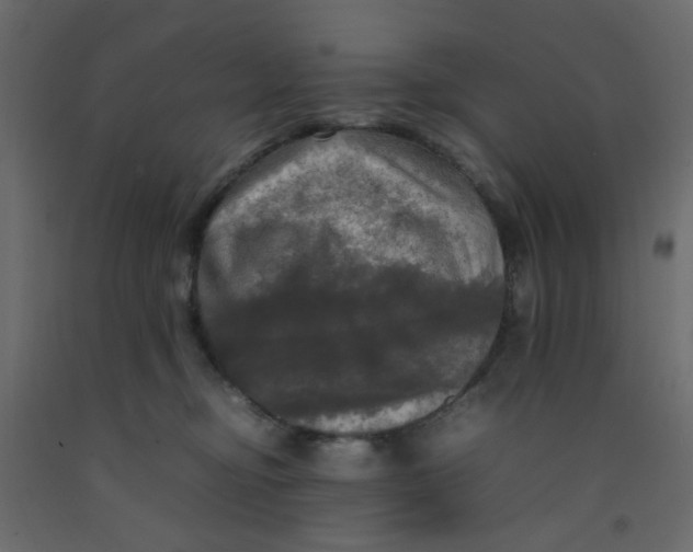 X0000092090374200710101106