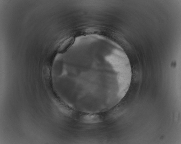 X0000092090375200710101106