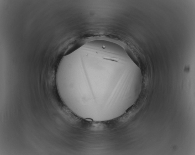 X0000092090376200710101106