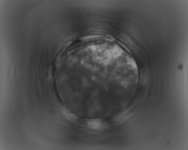 X0000092090377200710101106
