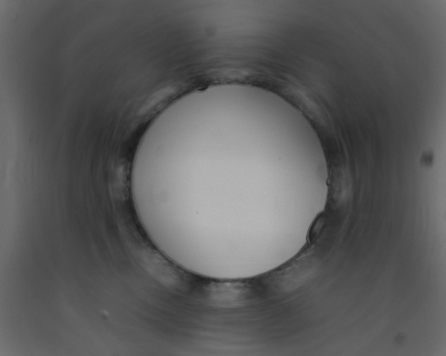 X0000092090378200710101106