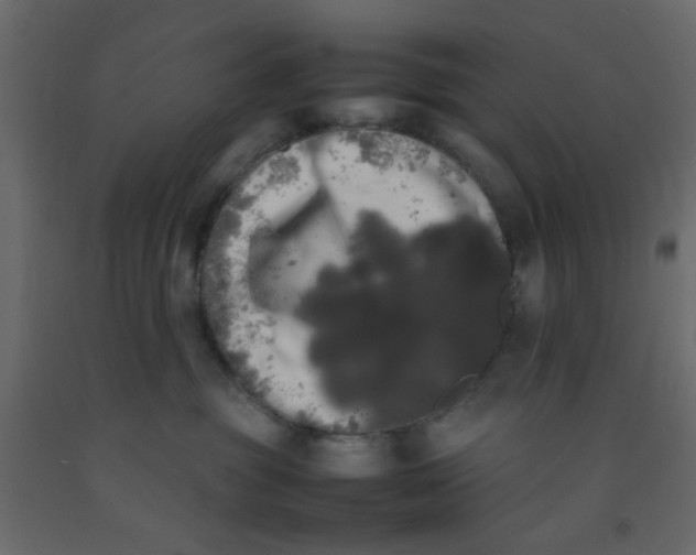 X0000092090381200710101106