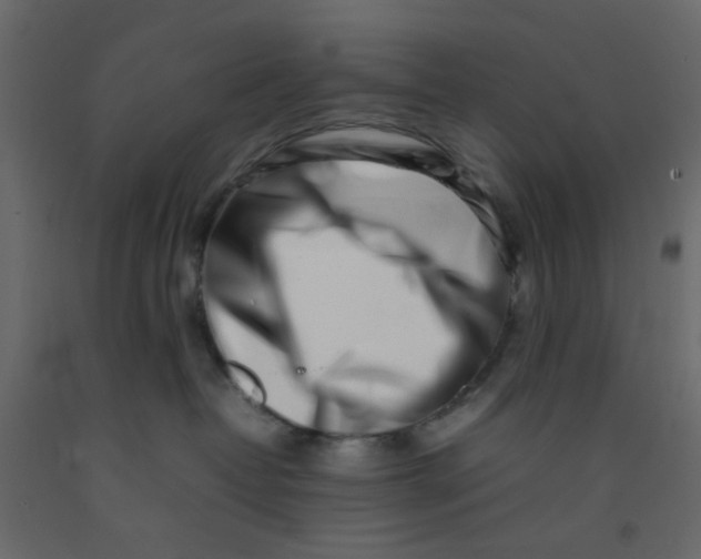 X0000092090382200710101106
