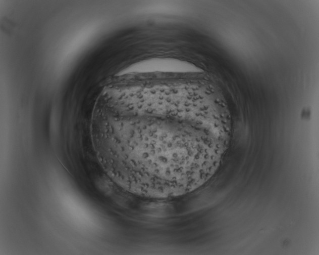 X0000092090383200710101106