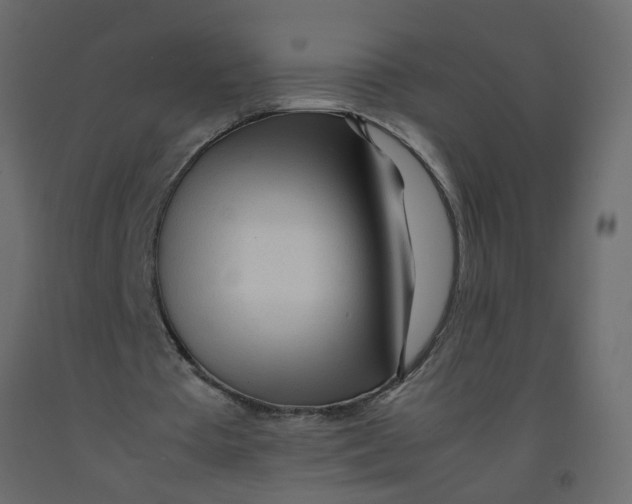 X0000092090385200710101105