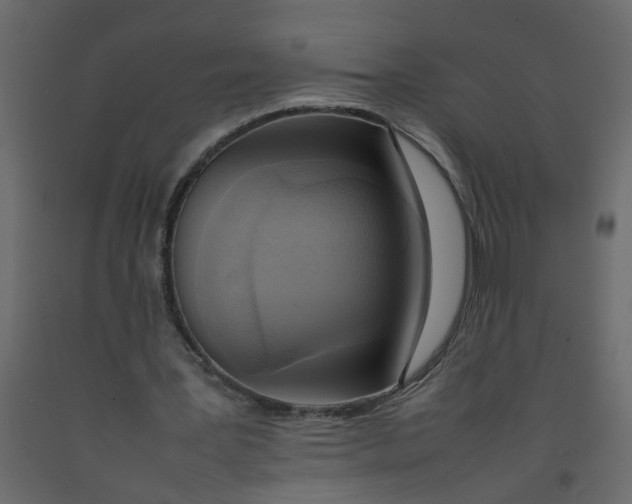 X0000092090387200710101105