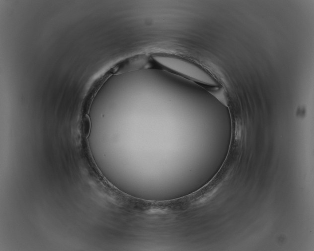 X0000092090388200710101105