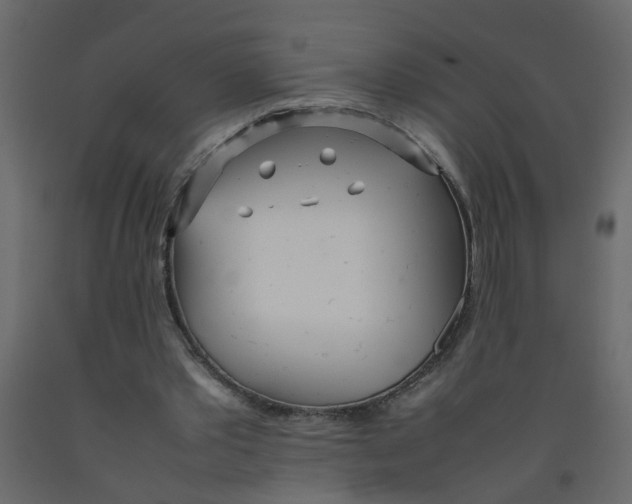 X0000092090389200710101105