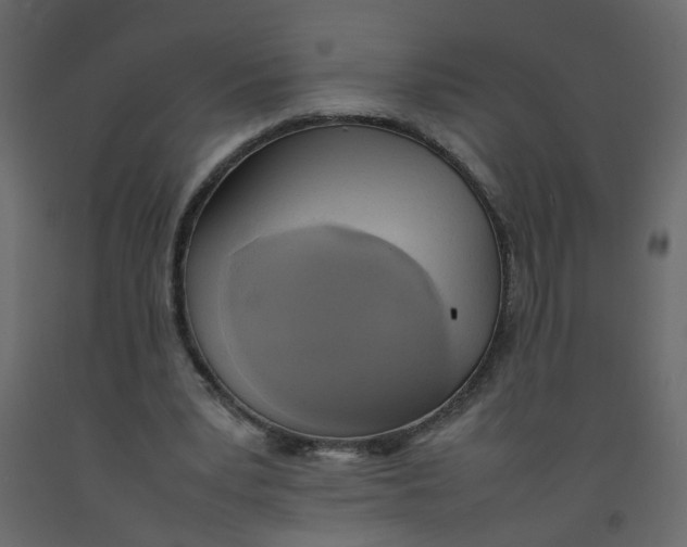 X0000092090391200710101105