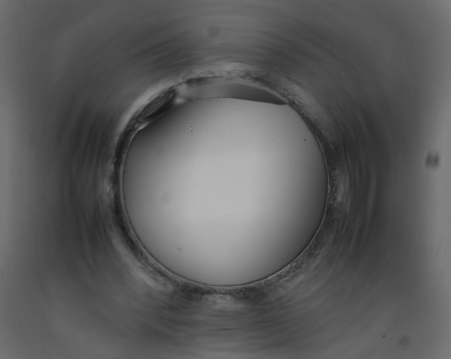 X0000092090392200710101105