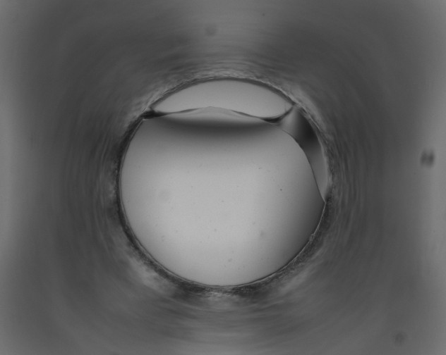 X0000092090393200710101105