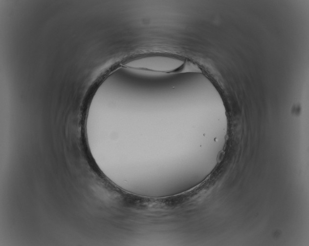 X0000092090395200710101105