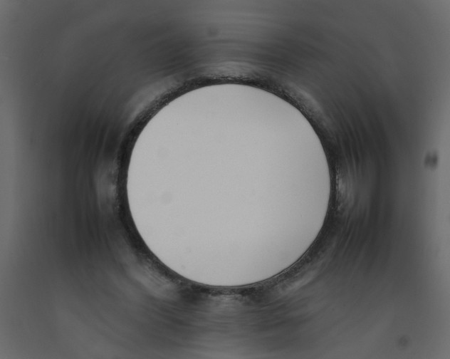X0000092090396200710101105