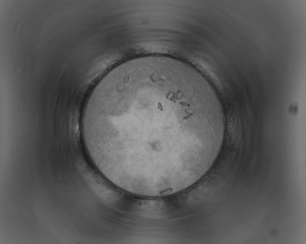 X0000092090398200710101105