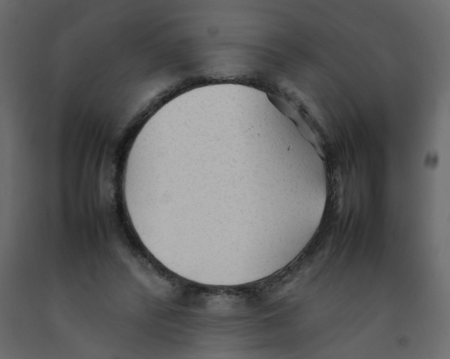 X0000092090400200710101105