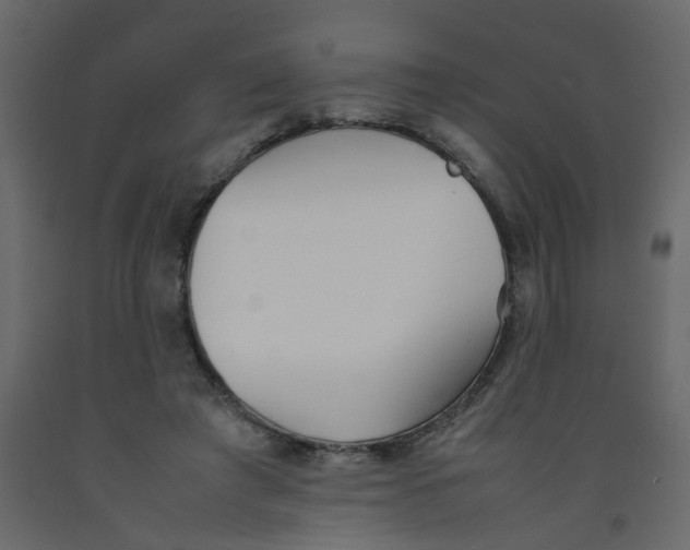 X0000092090401200710101105