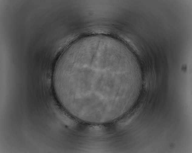 X0000092090402200710101105