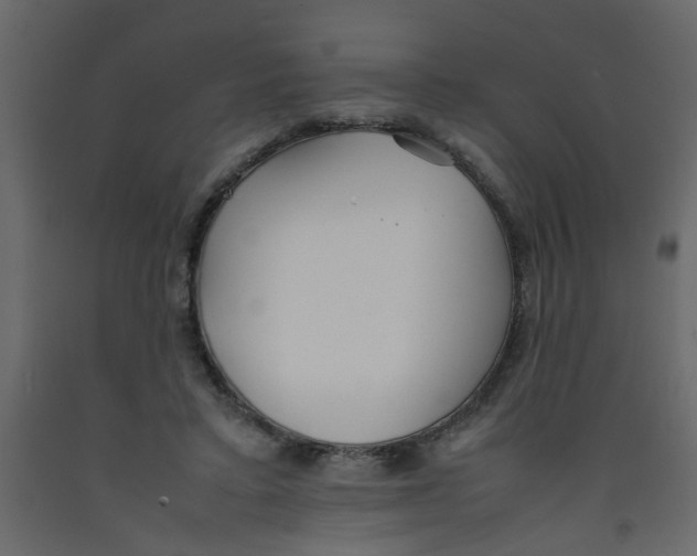 X0000092090403200710101105