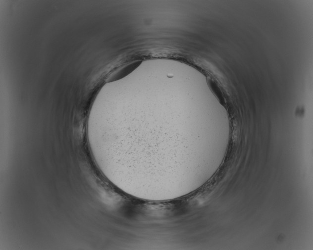X0000092090405200710101105