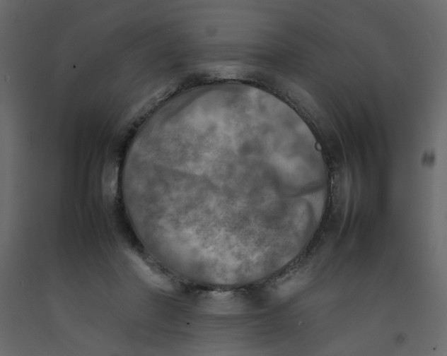 X0000092090406200710101105