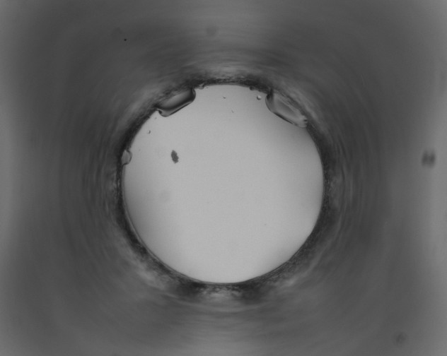 X0000092090407200710101105