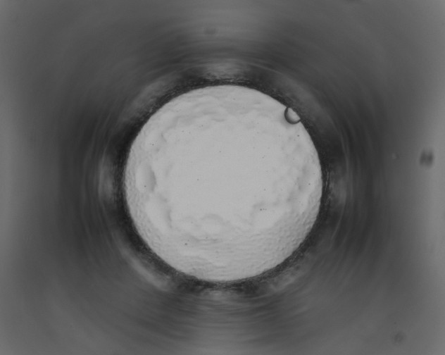 X0000092090408200710101105