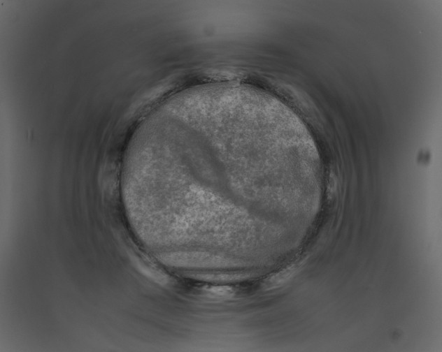 X0000092090409200710101105