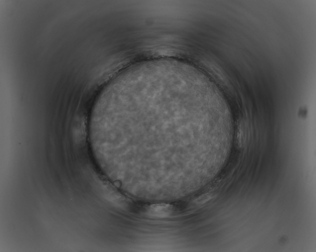 X0000092090410200710101105