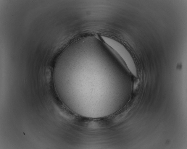 X0000092090412200710101105
