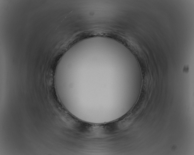 X0000092090413200710101105