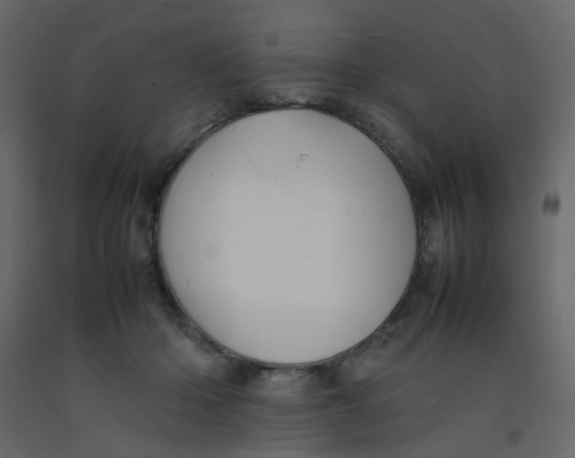 X0000092090414200710101105
