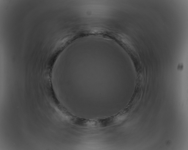 X0000092090415200710101105