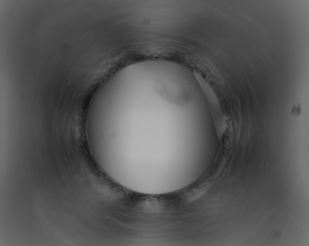 X0000092090416200710101105