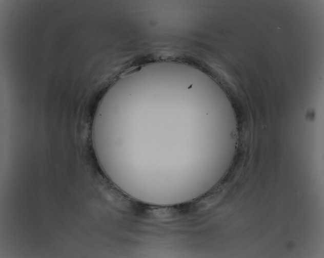 X0000092090417200710101105