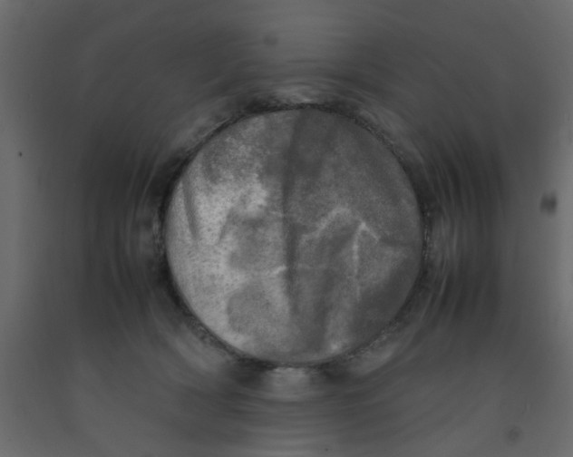 X0000092090418200710101105