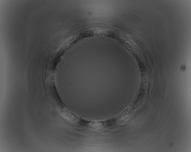 X0000092090419200710101105