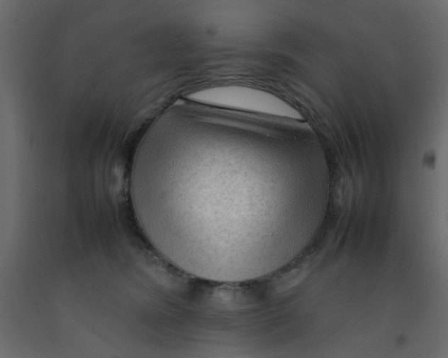 X0000092090420200710101105