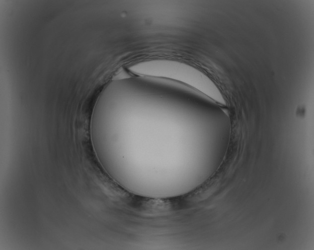 X0000092090421200710101105