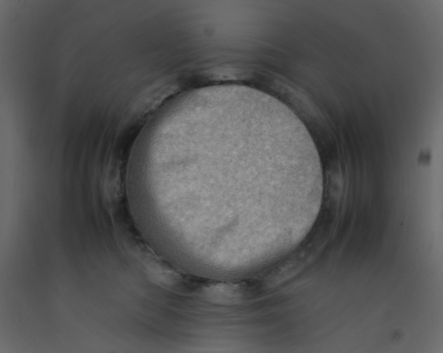 X0000092090422200710101105