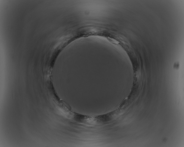 X0000092090423200710101105