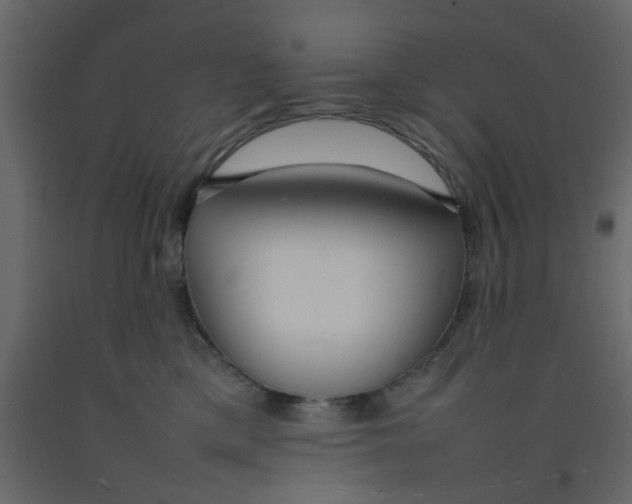 X0000092090425200710101105