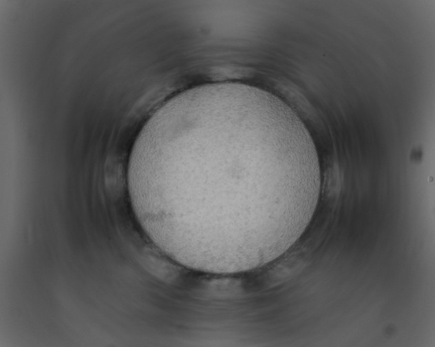 X0000092090426200710101105