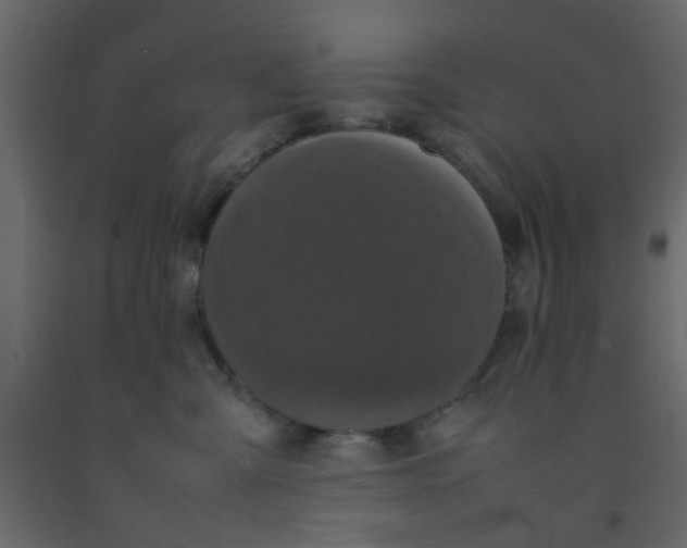 X0000092090427200710101105