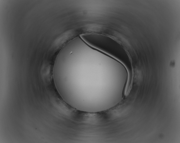 X0000092090428200710101105