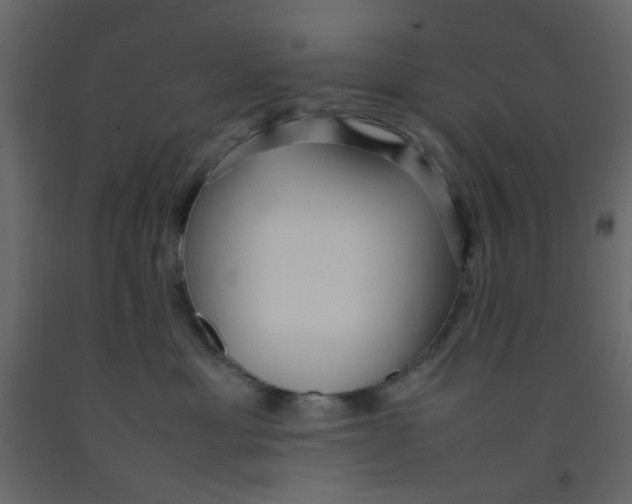 X0000092090429200710101105