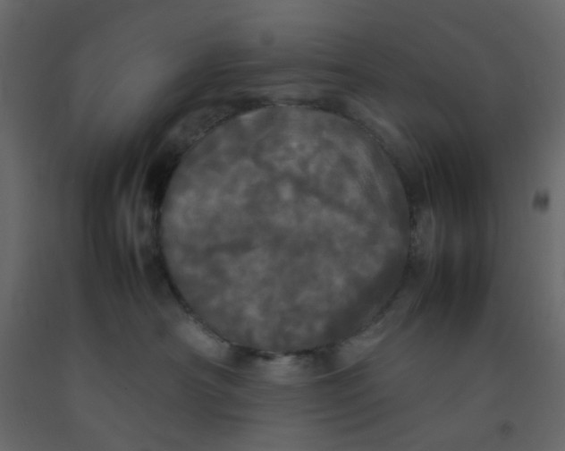X0000092090430200710101105