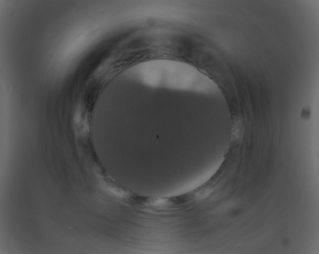 X0000092090431200710101105