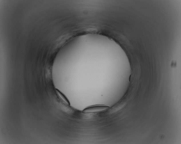 X0000092090432200710101105