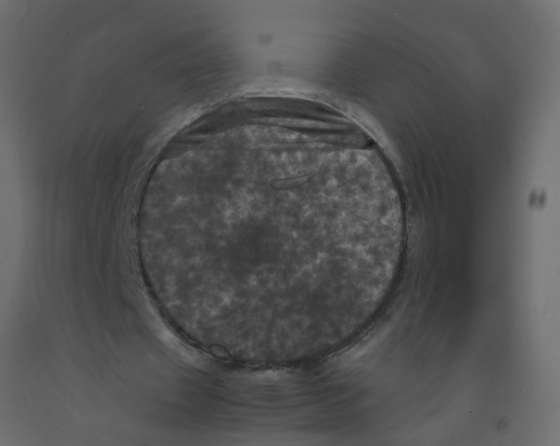 X0000092090433200710101104